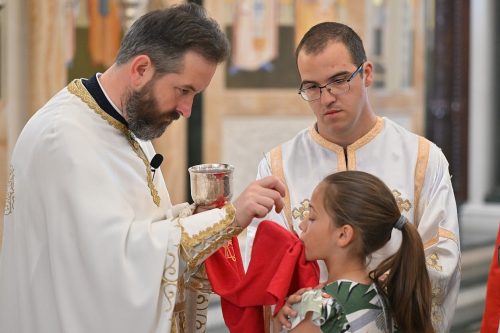Read more about the article Otac Mladen Tomović – „Radujemo se što je ljudska priroda uznesena na nebo pred prestolom Božijim“