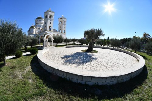 Read more about the article Маслињак барског Саборног храма проглашен за најбољи млади засад