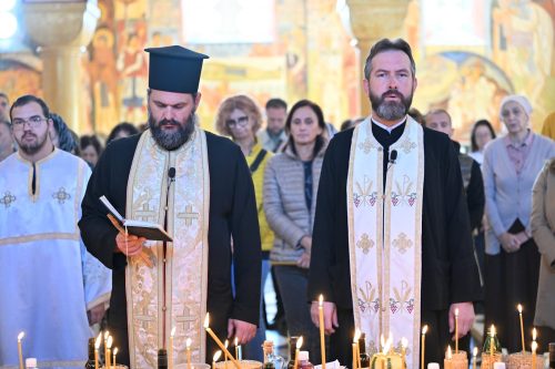 Read more about the article Митровске задушнице у барском саборном храму